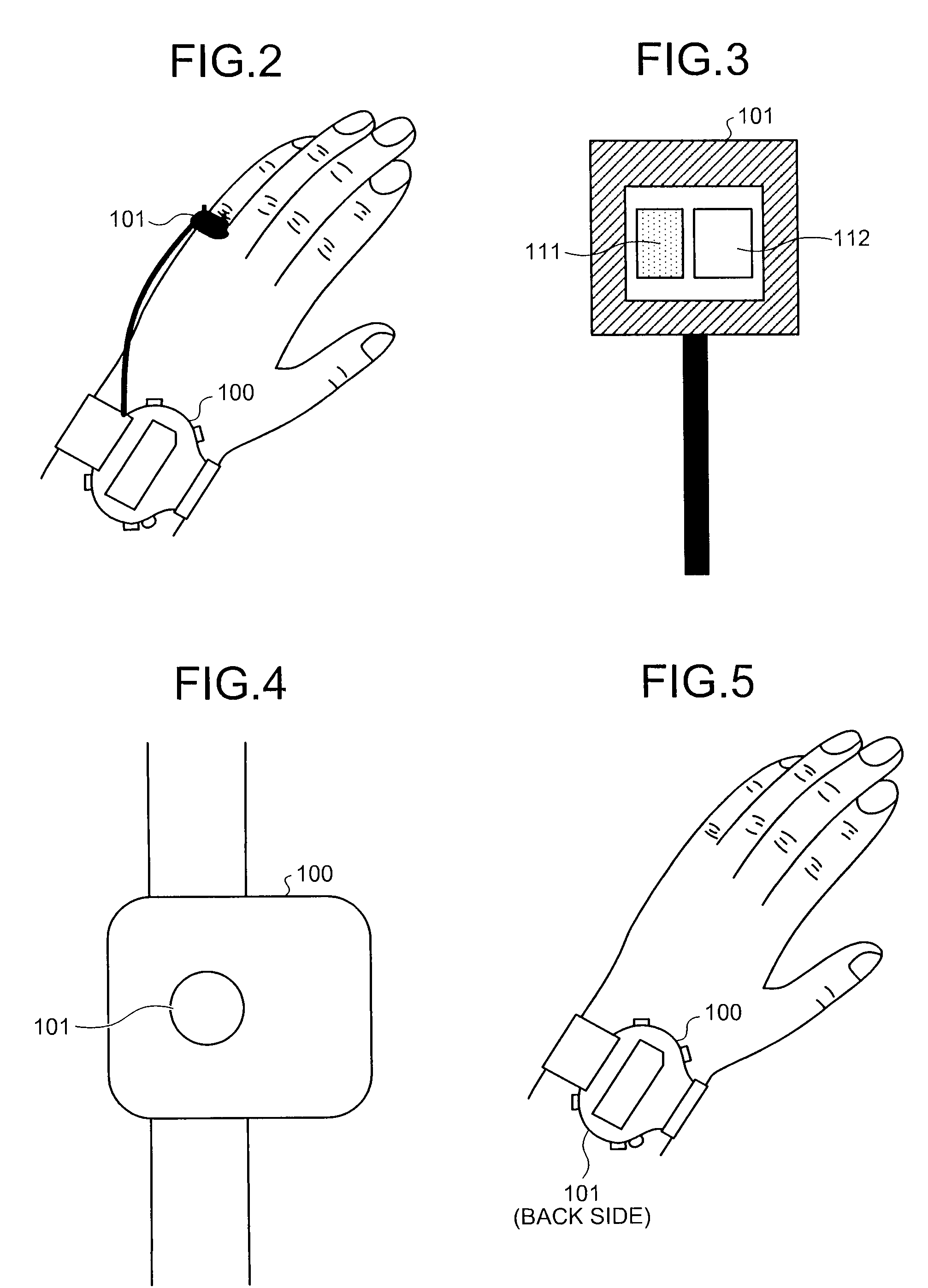 Biological information processing apparatus and biological information processing method