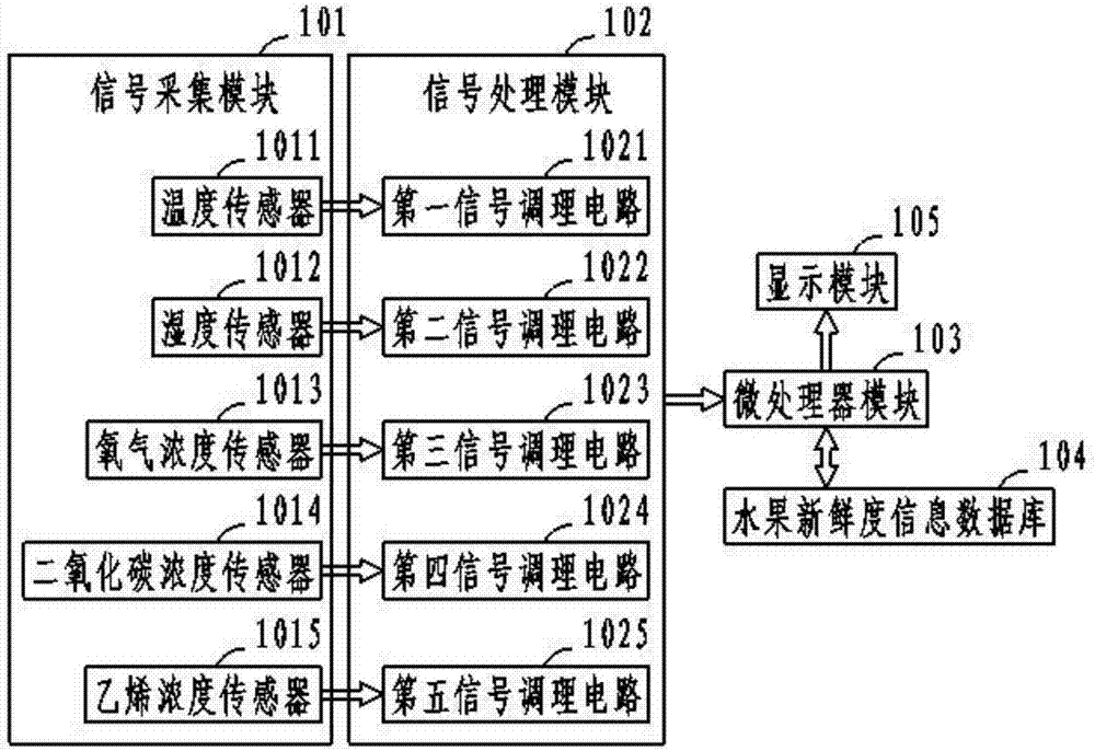 Detection analysis system of fruit freshness and method thereof