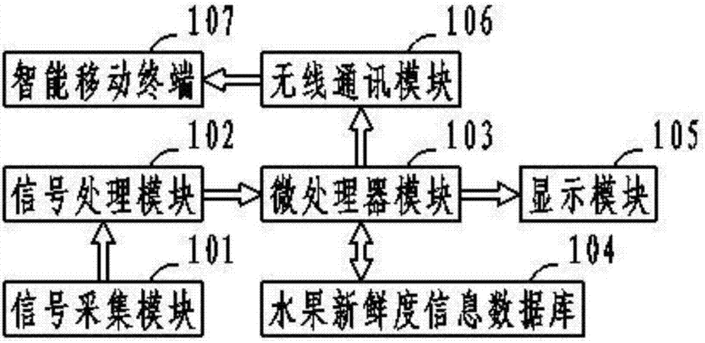 Detection analysis system of fruit freshness and method thereof