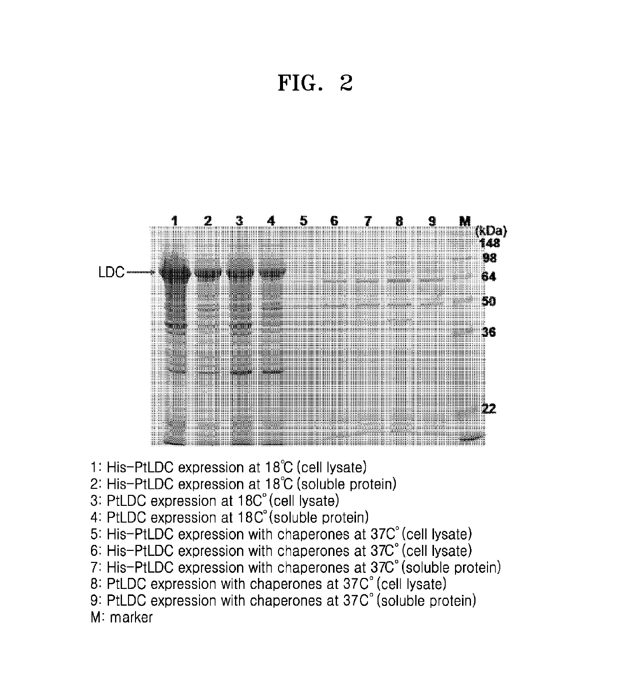 Lysine decarboxylase having improved stability with a pH change, microorganism comprising a polynucleotide encoding the same, and method for producing cadaverine using the same