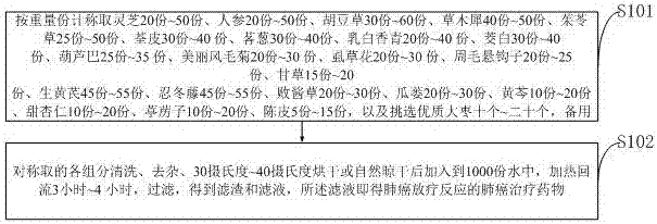 Drug for relieving side reactions of targeted therapy and assisting in treatment of lung cancer