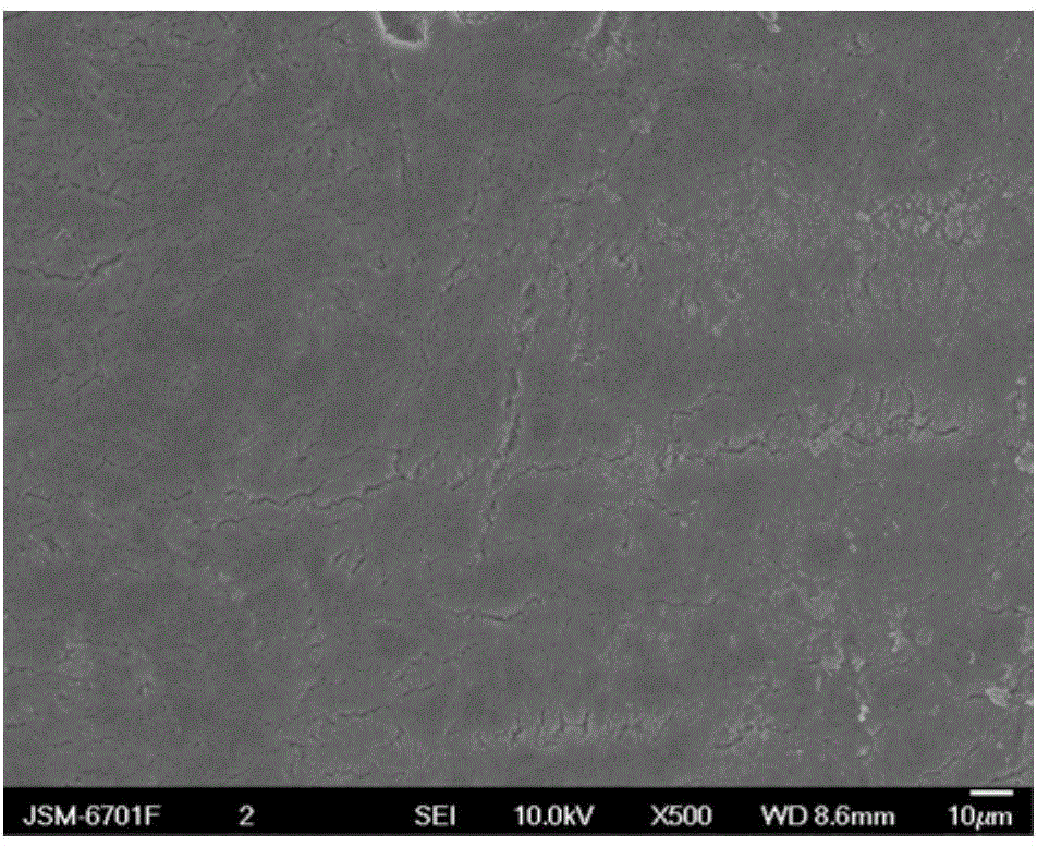 Method for protective treatment of lithium cathodes in lithium secondary batteries