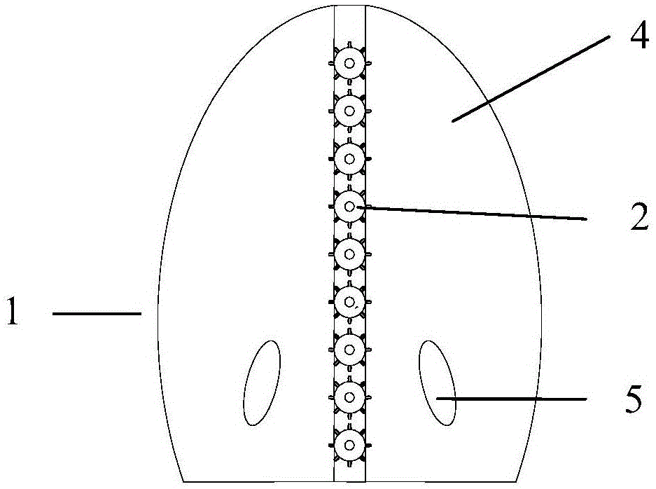 Femoral prosthesis and using method