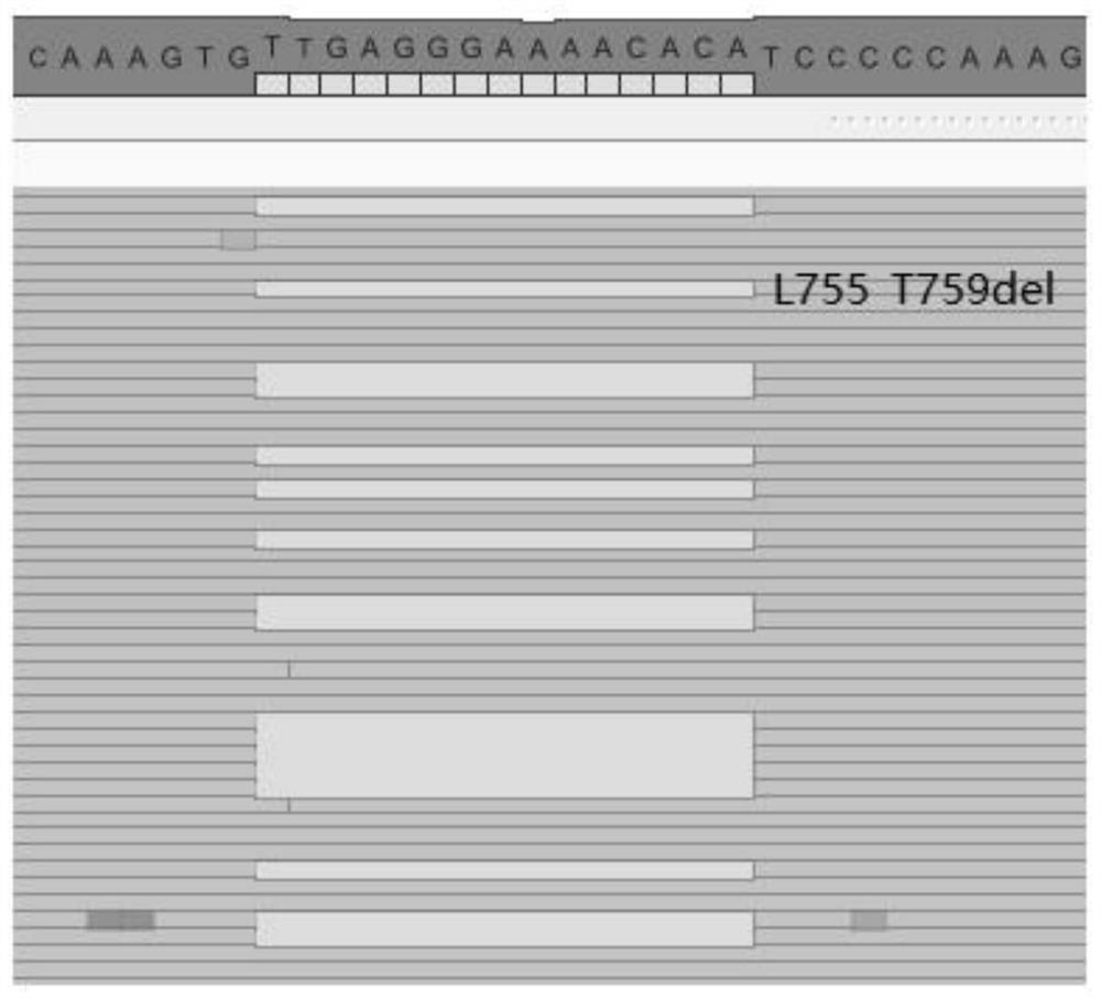 A high-throughput sequencing method for detecting multiple variant types of genes and its application