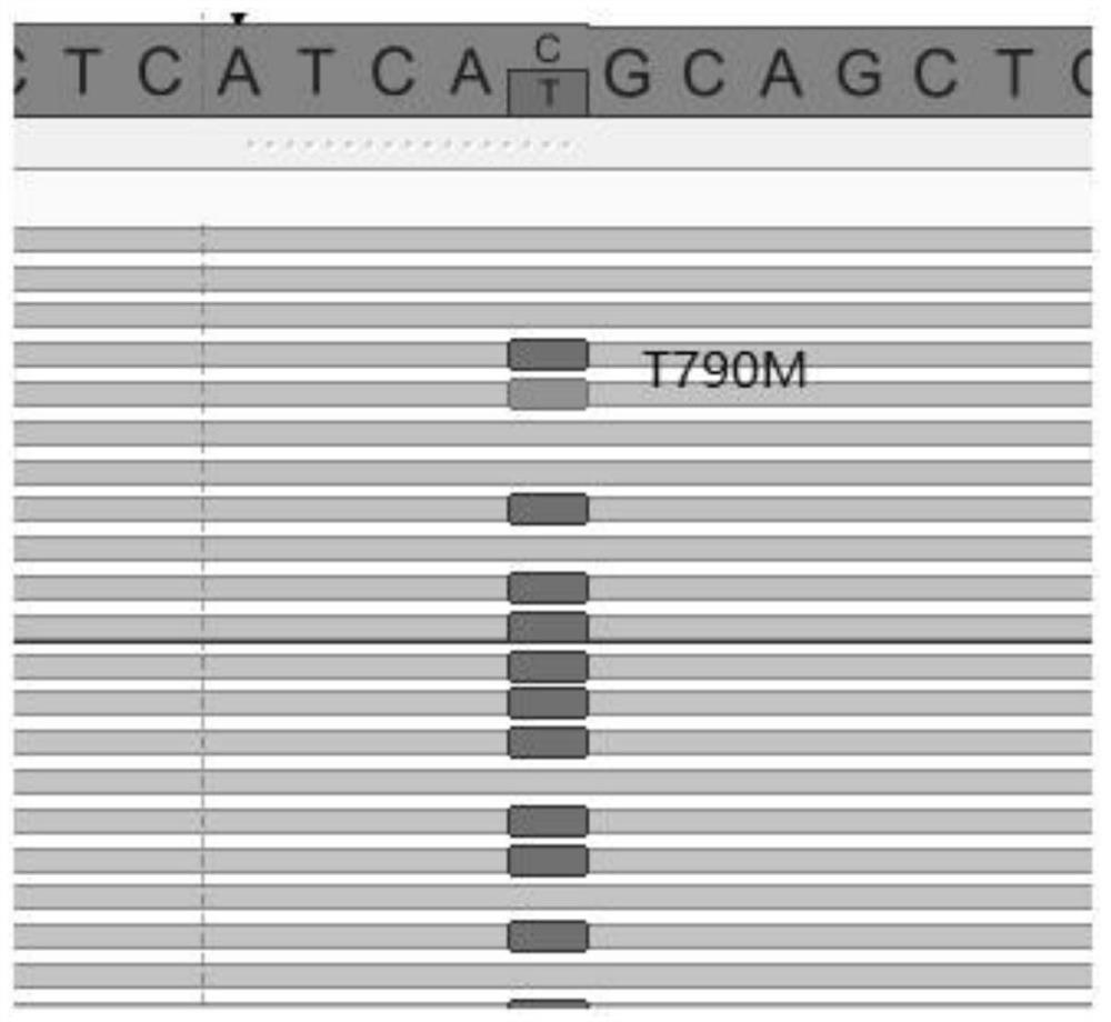 A high-throughput sequencing method for detecting multiple variant types of genes and its application