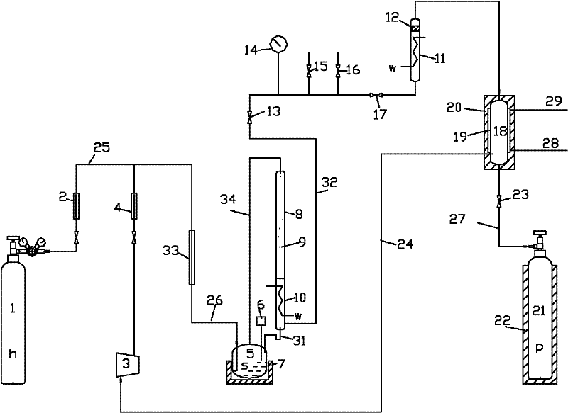 Hydrogen selenide preparation device and method