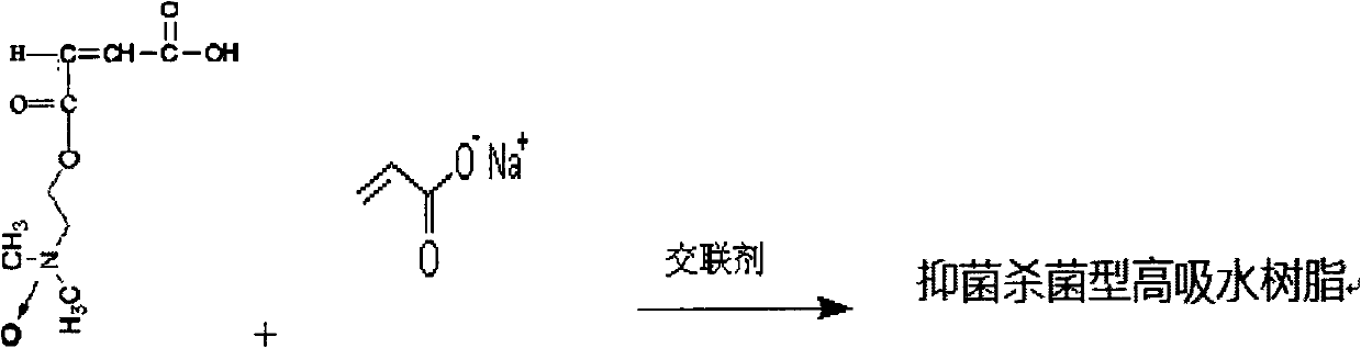 Amine oxide antibacterial super absorbent polymer (SAP)