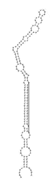 Method for cultivating transgenic nitrogen-fixing plants