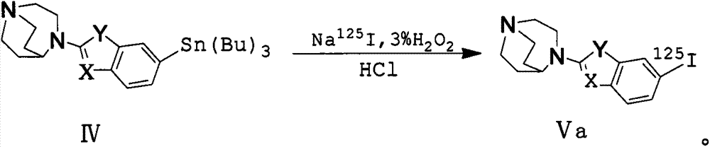 A kind of α7 nicotinic acetylcholine receptor ligand and its preparation method