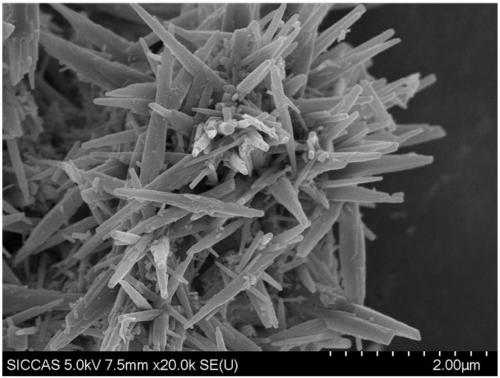 Aragonite type crystal seeds and aragonite type light calcium carbonate and preparation method thereof