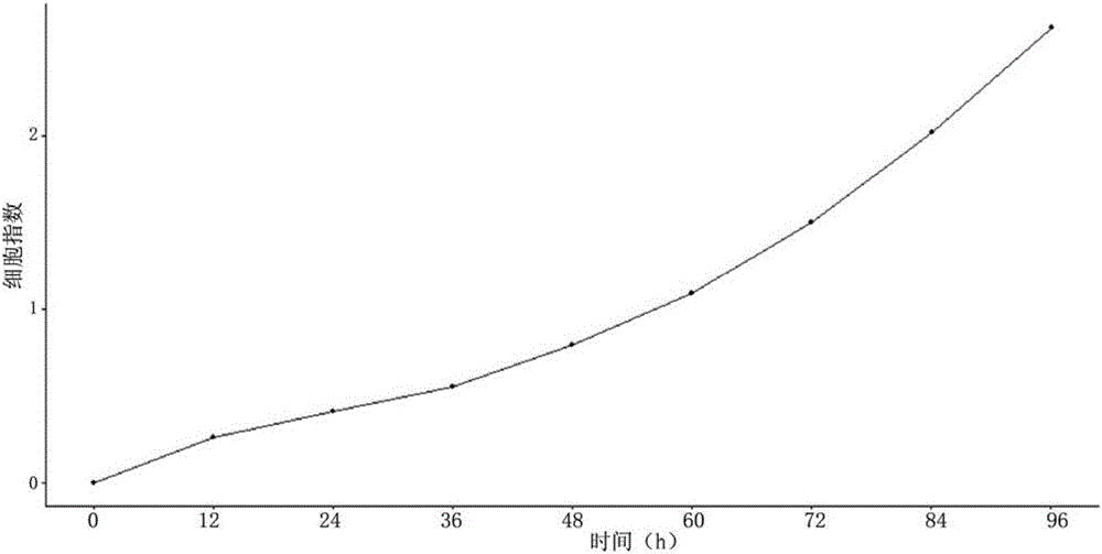 Esophageal cancer cell line and application thereof