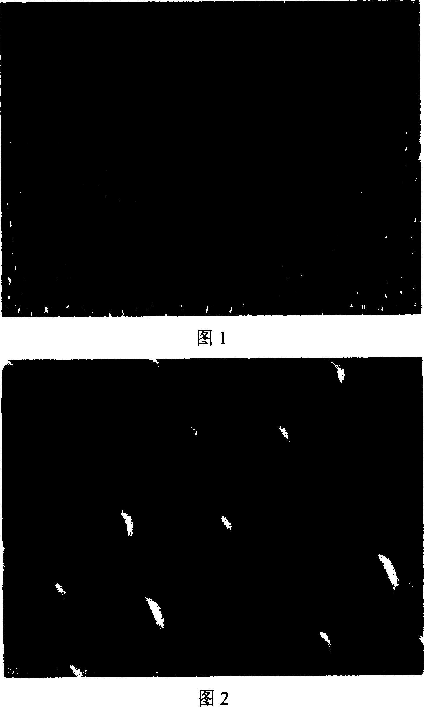 Process for producing ordered porous anodic alumina form