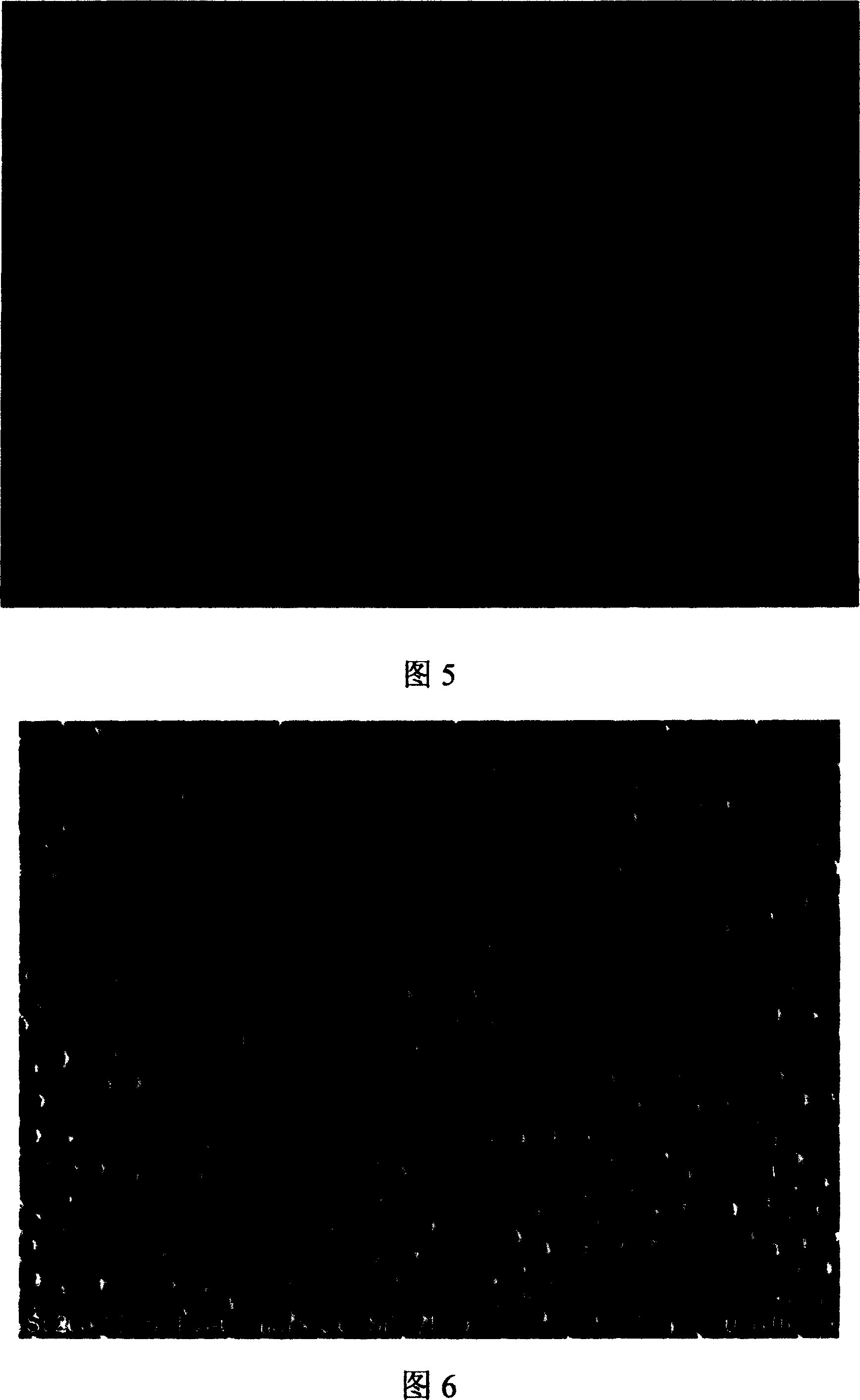 Process for producing ordered porous anodic alumina form