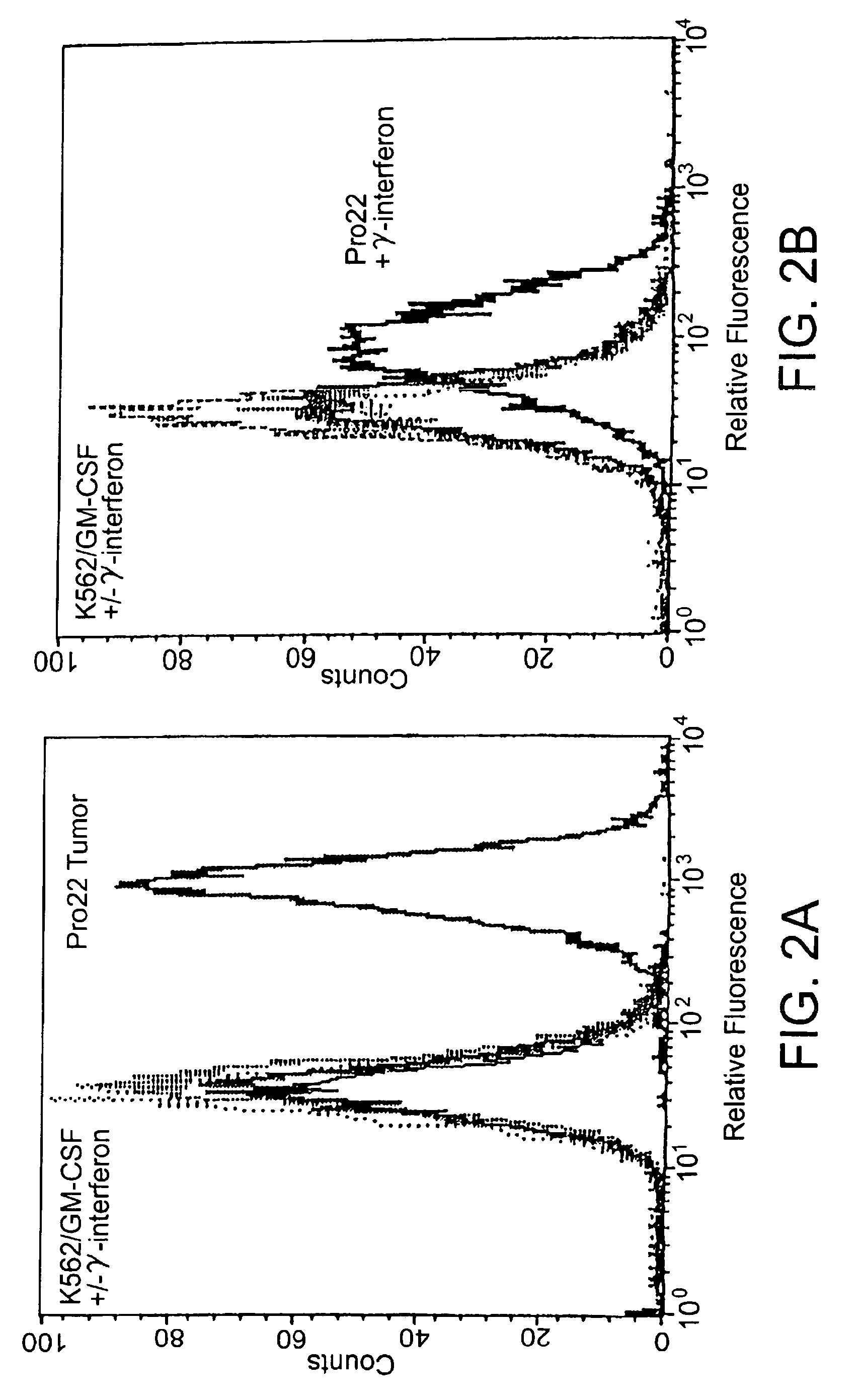 Universal GM-CSF expressing bystander human K562 cell line