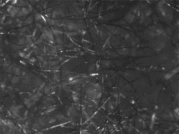 Modification method of alginate dressing taken as lithium battery diaphragm