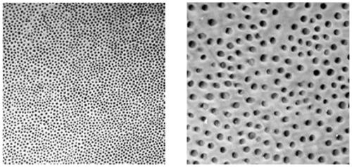 Acid etching mineralizer for increasing adhesion of dentin