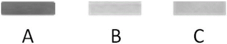 Mercury ion test strip and preparation method and testing method thereof