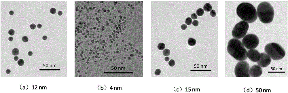 Mercury ion test strip and preparation method and testing method thereof