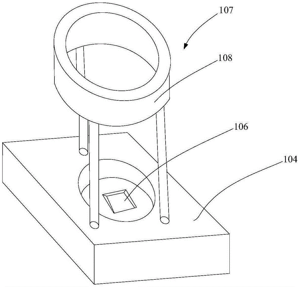 Caenorhabditis elegans capture system and caenorhabditis elegans capture method