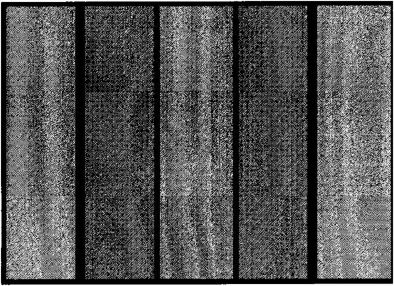 Large-area metal nano-structural substrate for surface-enhanced Raman and preparation method thereof