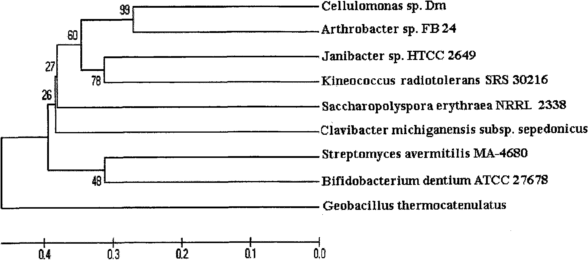 Coding beta-galactosidase gene and expression and application thereof