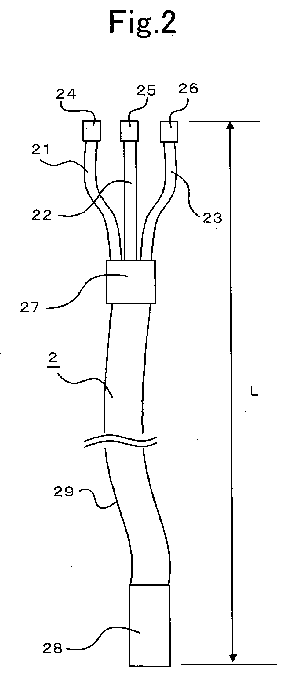 Projection display apparatus