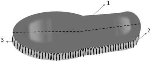 3D printed diabetic foot insole based on plantar pressure distribution and air permeability and preparation method thereof