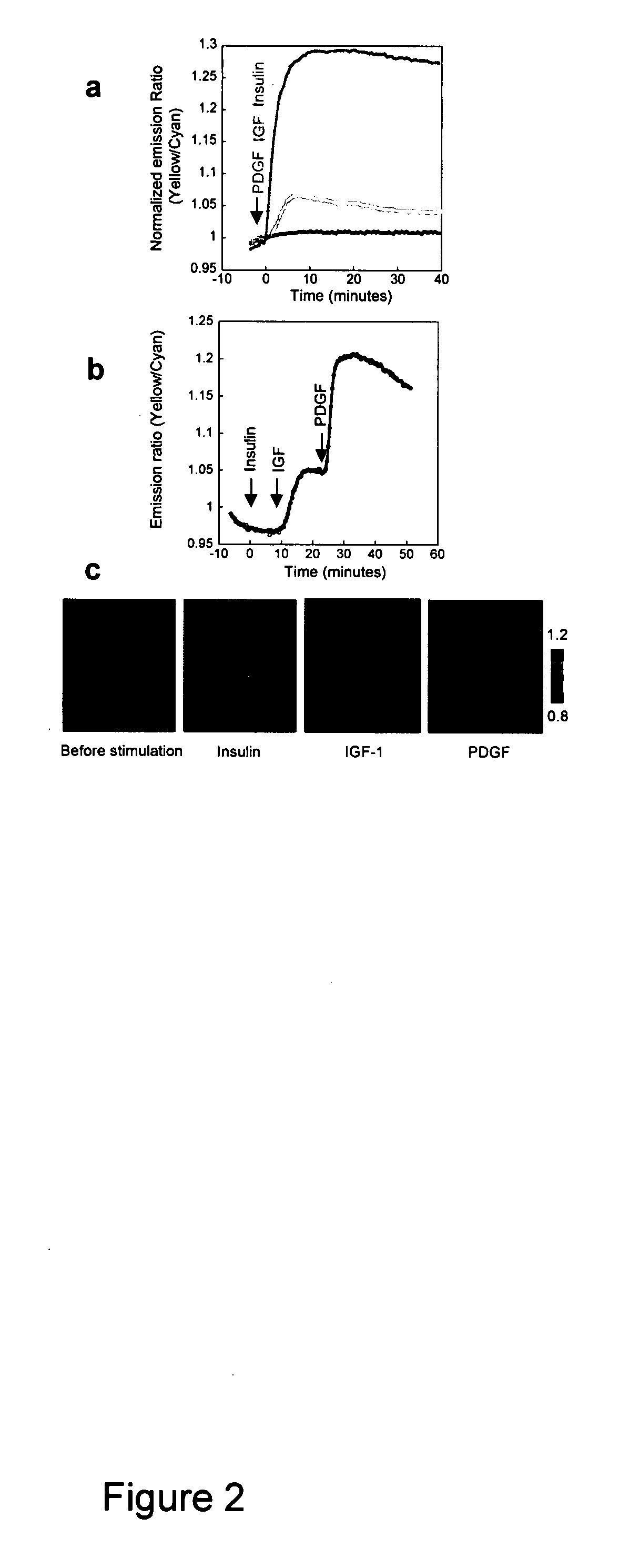 Emission ratiometric indicators of phosphoinositides