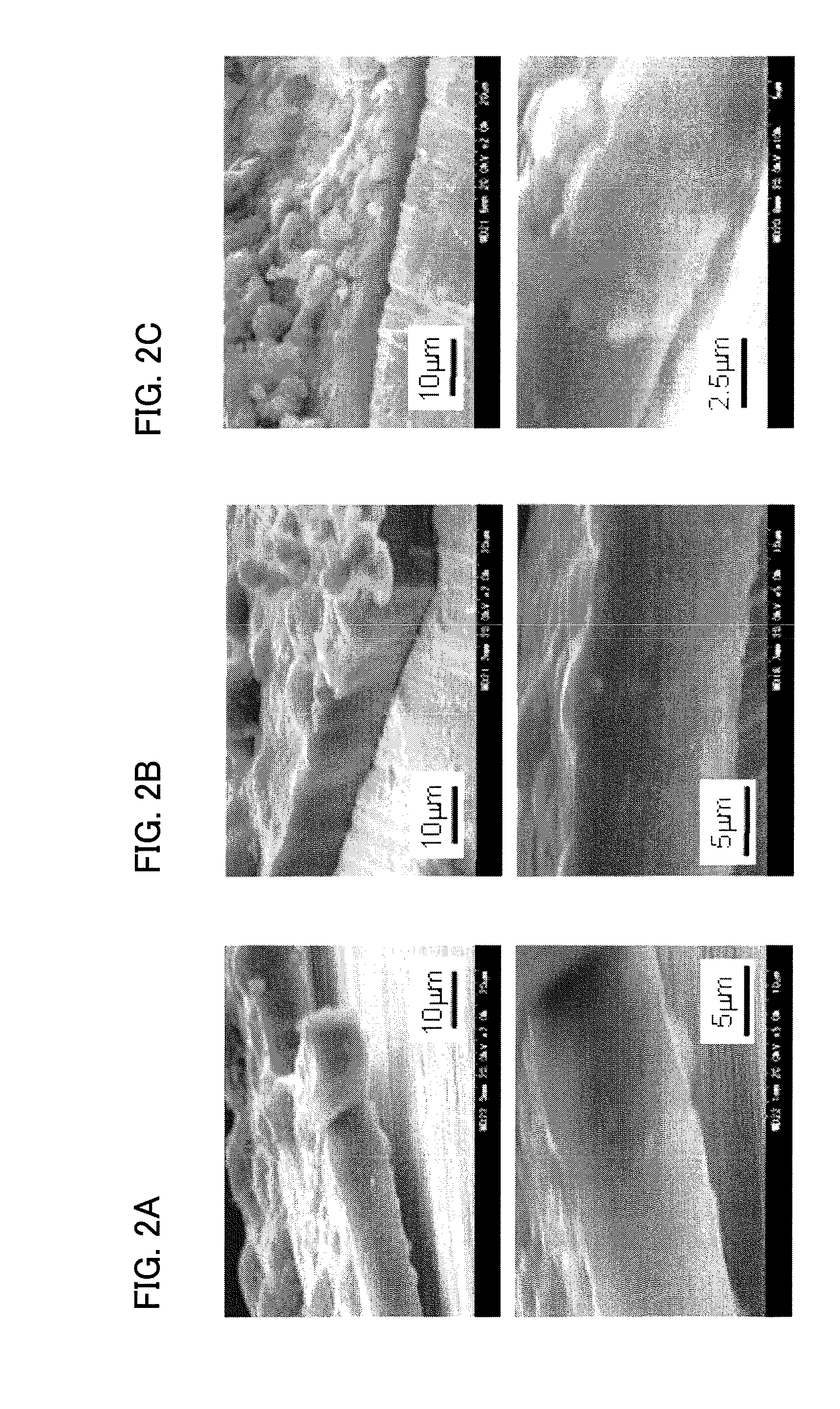 Method for electrochemically depositing carbon film on a substrate