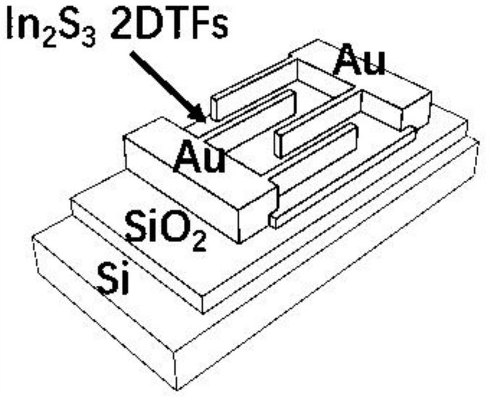 Pain receptor constructed based on indium sulfide film and application of pain receptor