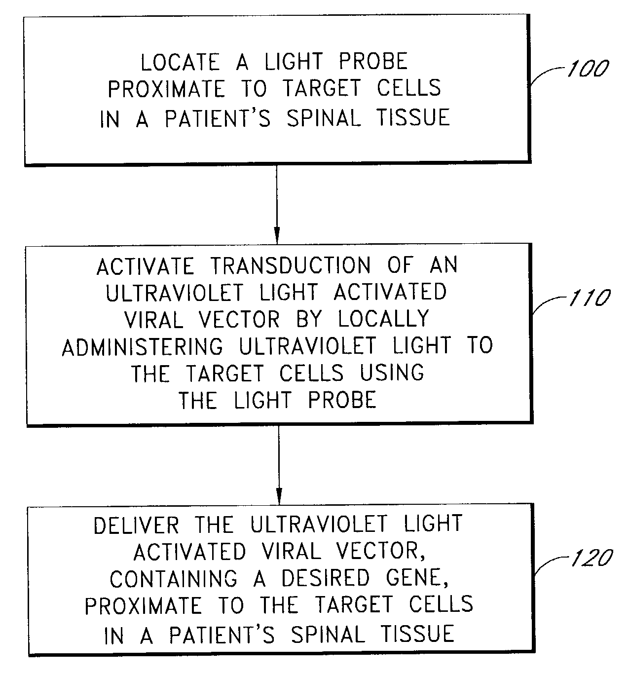 Method for introducing an ultraviolet light activated viral vector into the spinal column