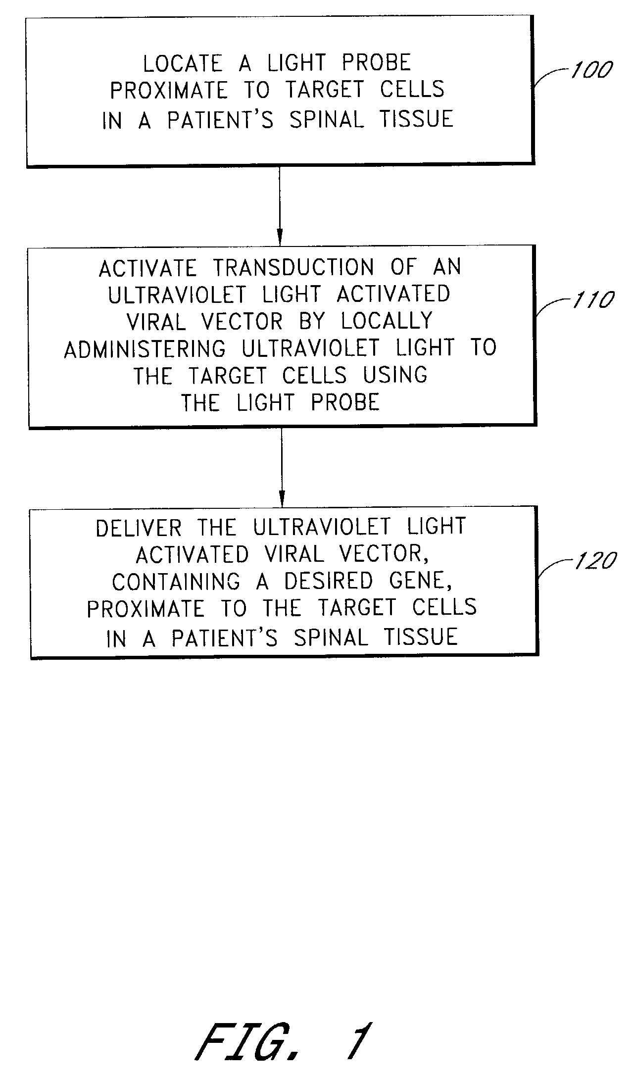 Method for introducing an ultraviolet light activated viral vector into the spinal column