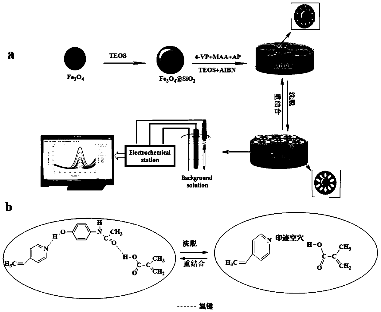 Magnetic surface molecularly imprinted polymer and preparation method and application thereof