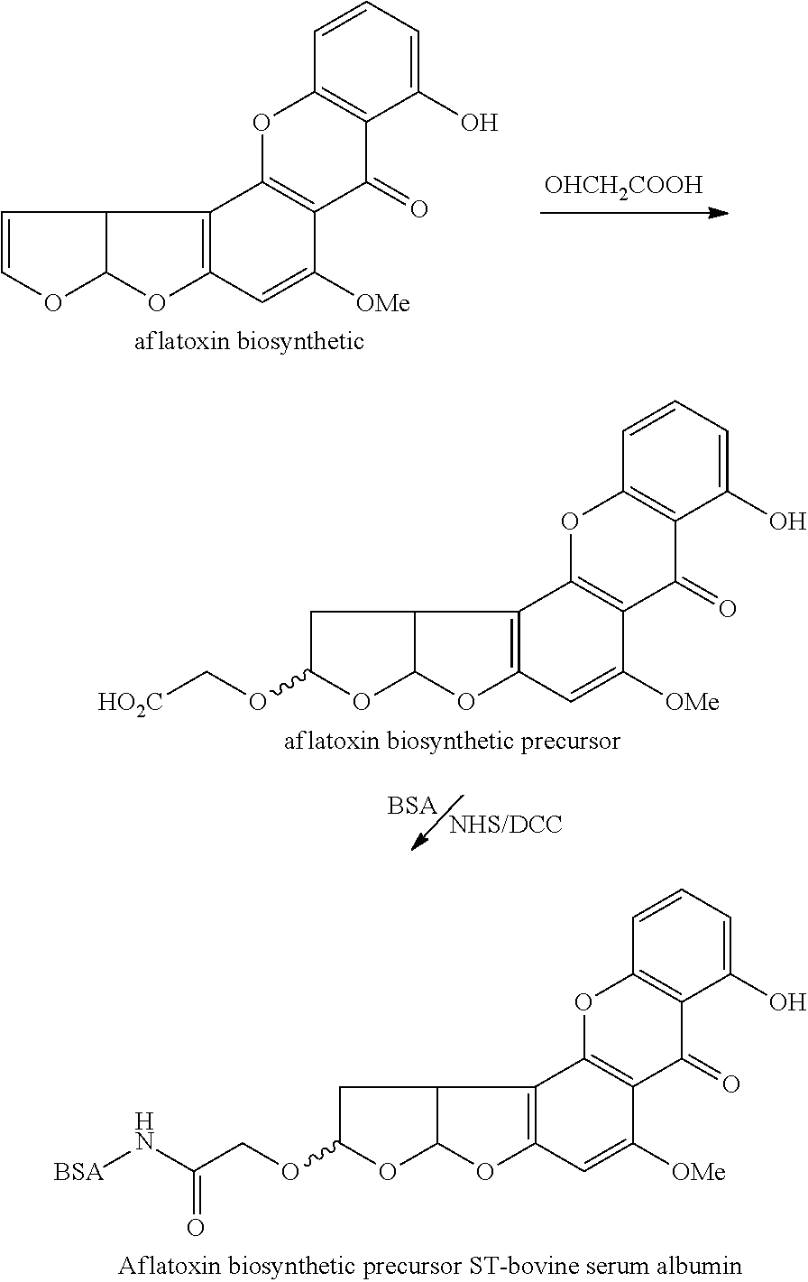 Artificial antigen of aflatoxin biosynthetic precursor sterigmatocystin and method for preparing same