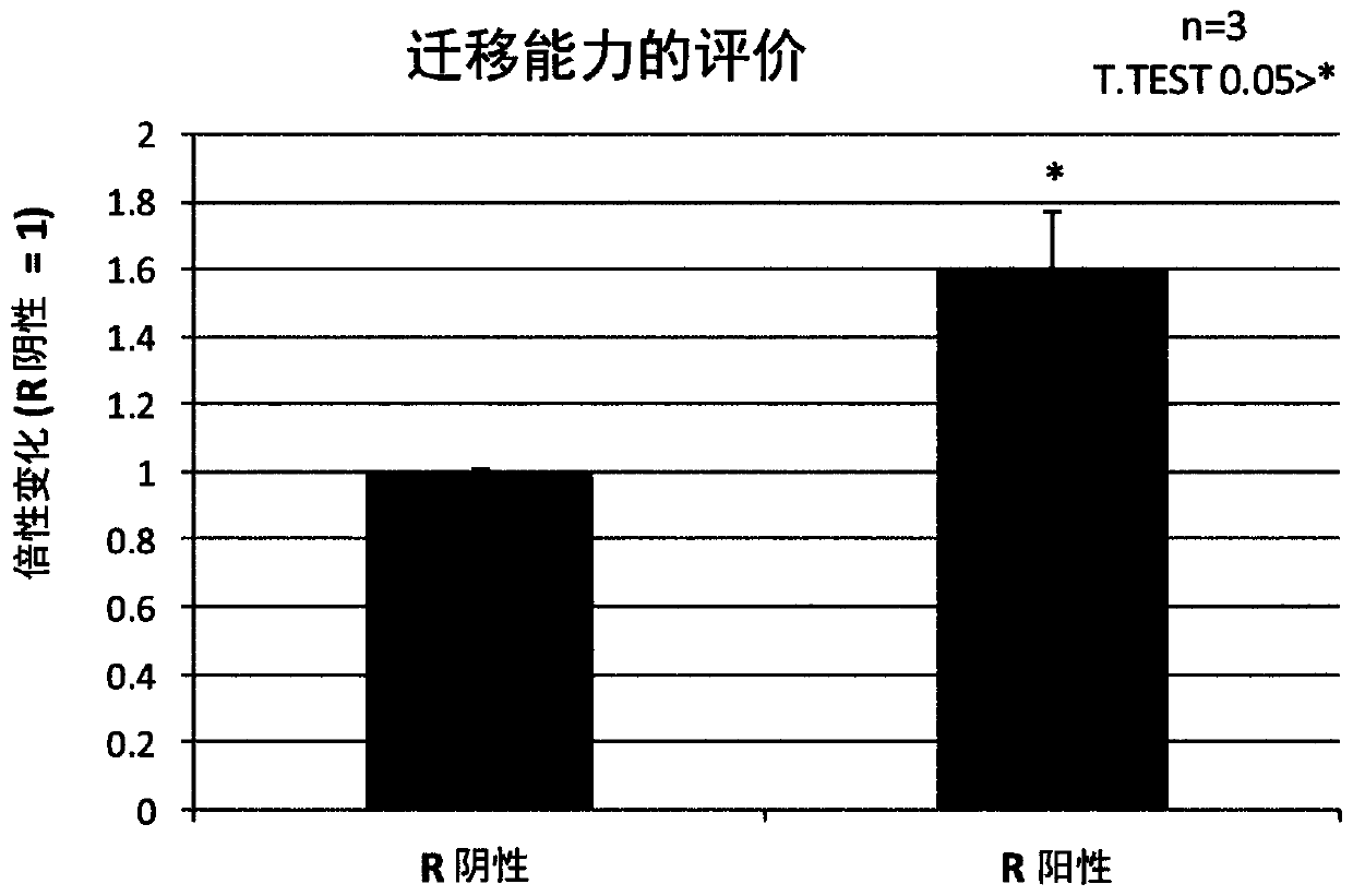 Ror1-positive mesenchymal stem cell-containing pharmaceutical composition for preventing or treating disease associated with fibrosis, method for preparing same, and method for preventing or treating disease associated with fibrosis using ror1-positive mesenchymal stem cells