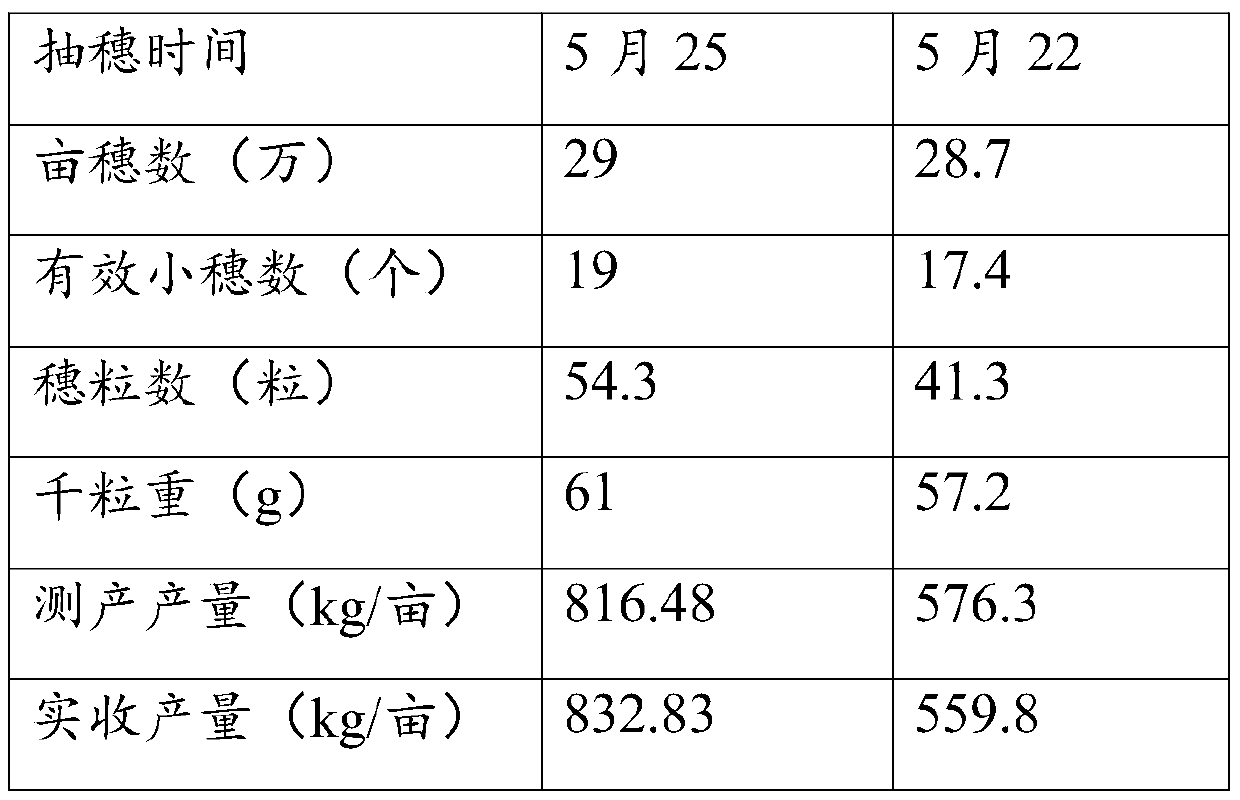 Method for planting wheat in Northern Xinjiang