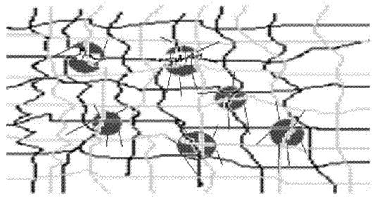 Preparation method of anticorrosive paint of polyaniline modified mesoporous molecular sieve