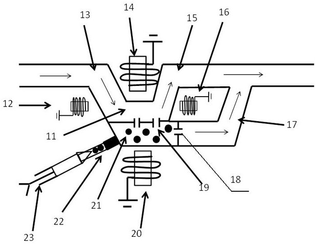 A device for capturing, processing and reinfusing circulating tumor cells to stimulate immunity and its application