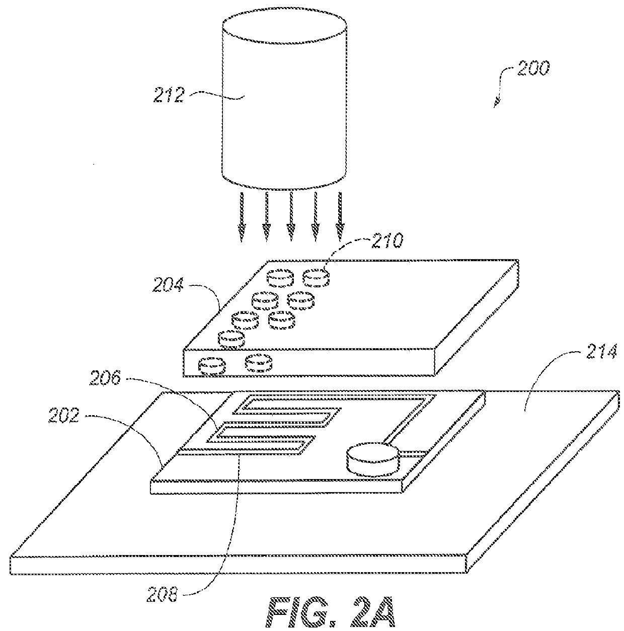 Method and apparatus for polarizing nuclear and electronic spins