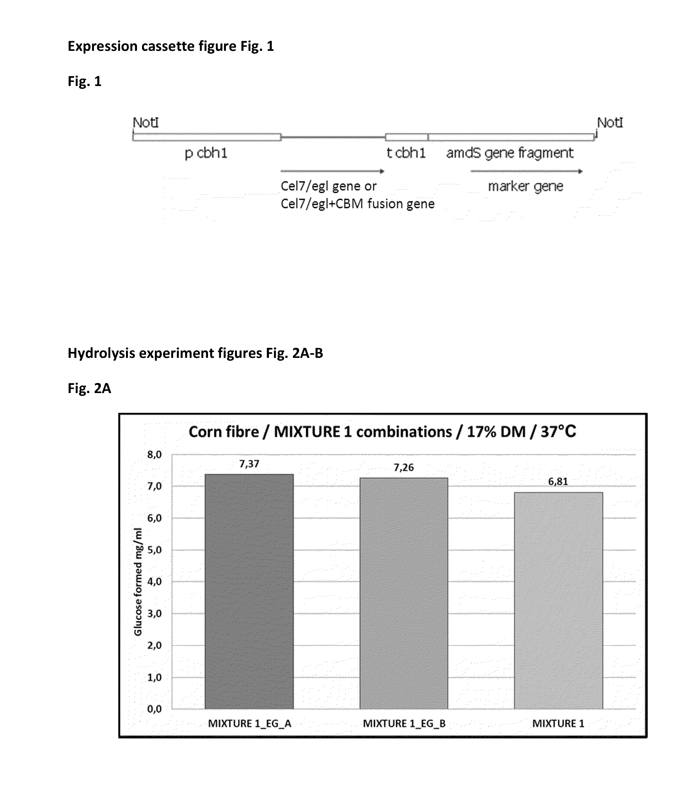 Endoglucanases for Treatment of Cellulosic Material