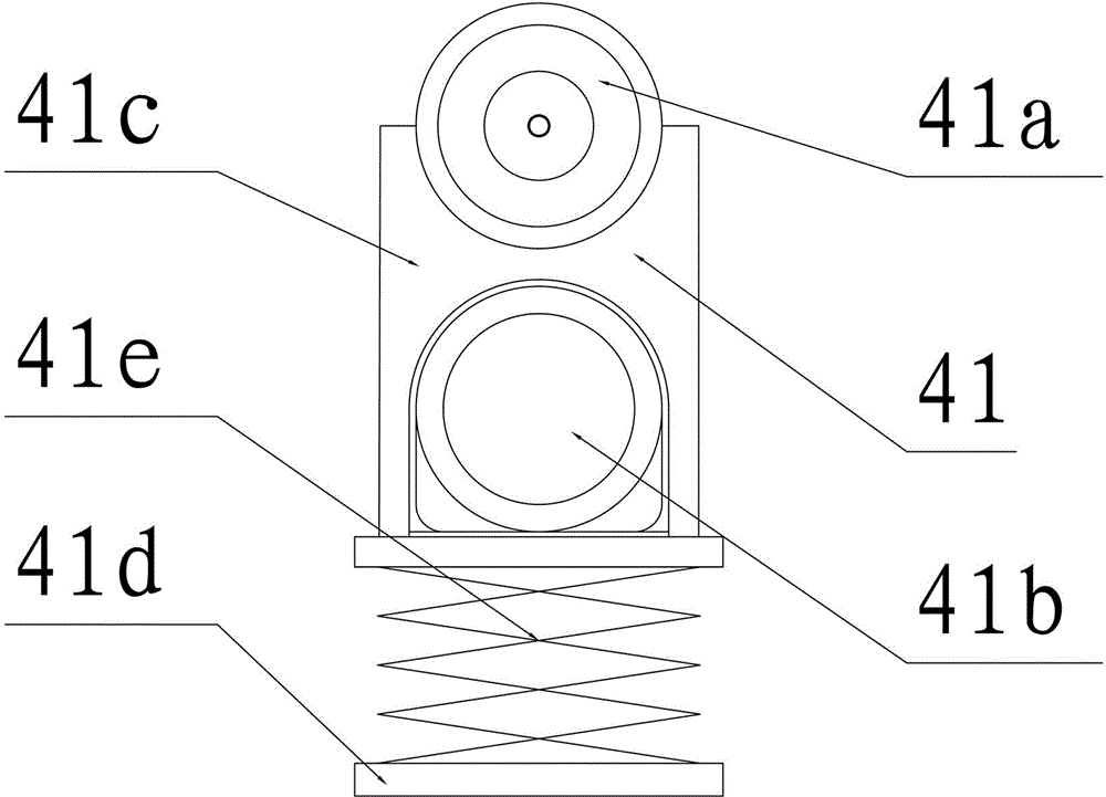 Fish killing device