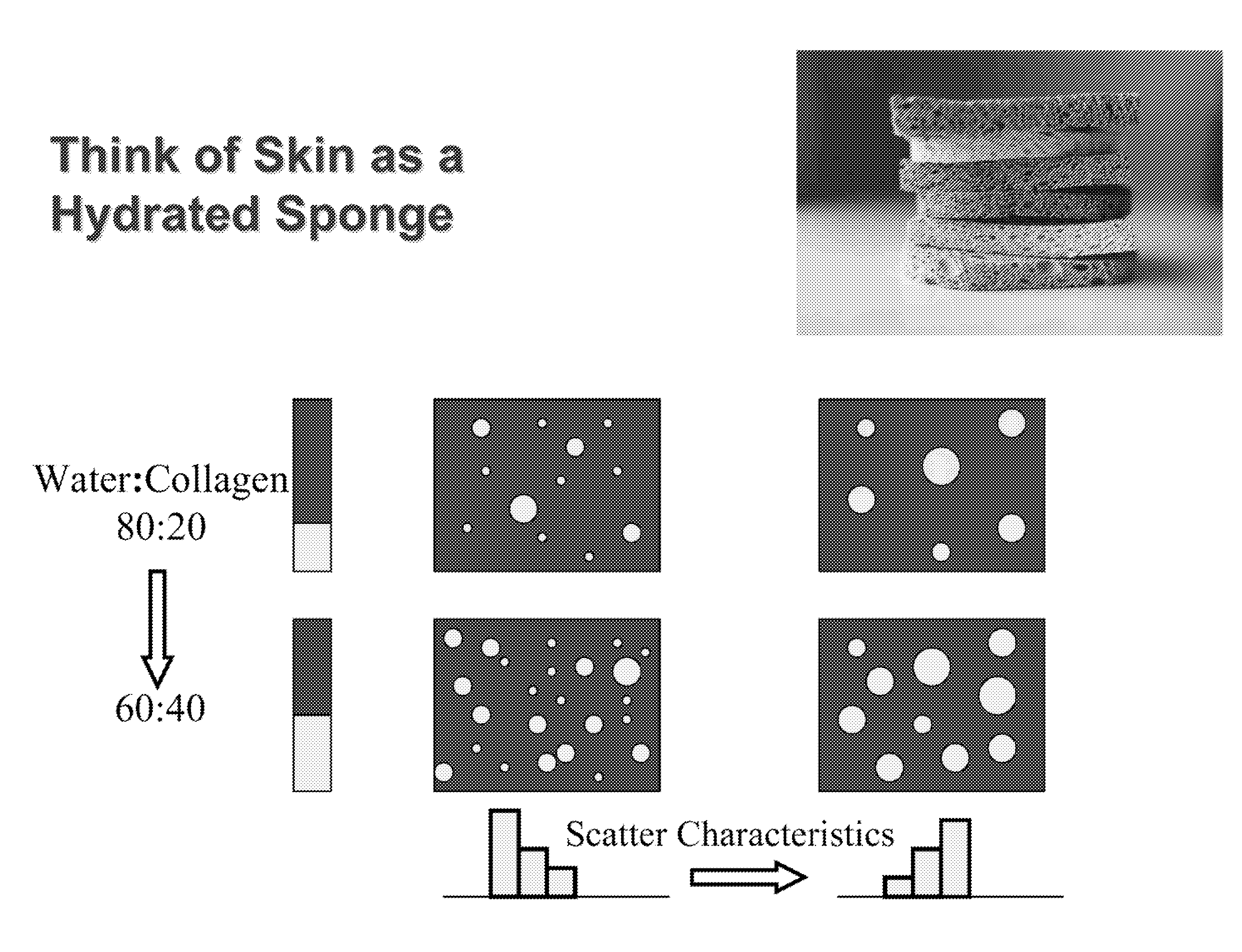 Methods and Apparatuses for Noninvasive Determinations of Analytes using Parallel Optical Paths