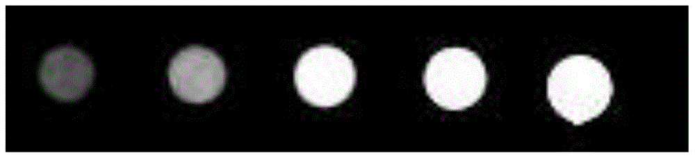 A preparation method of folic acid-coupled gold nanorod/polypyrrole/ferric oxide multifunctional composite nano-diagnosis and treatment agent