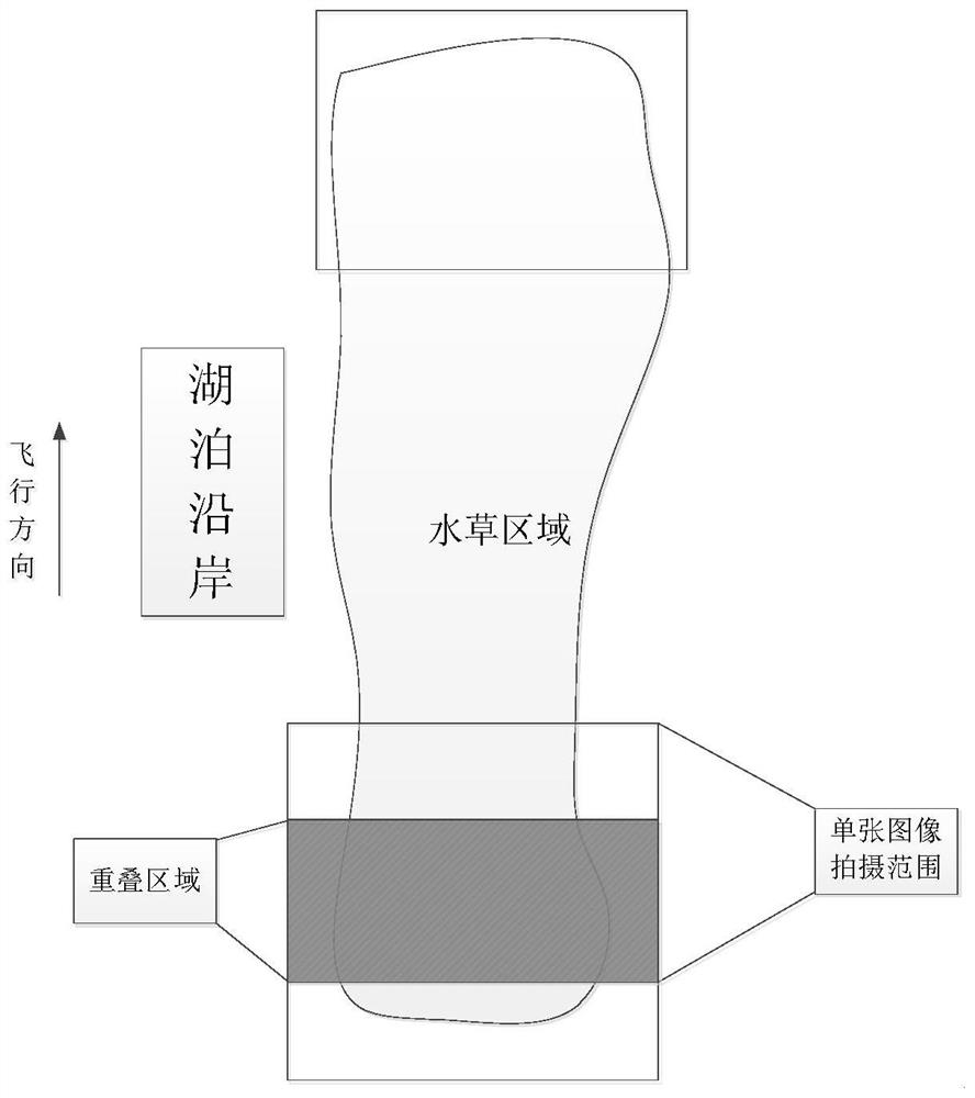 Lake wetland crop area surveying and mapping method based on deep learning and unmanned aerial vehicle aerial photography and related algorithm