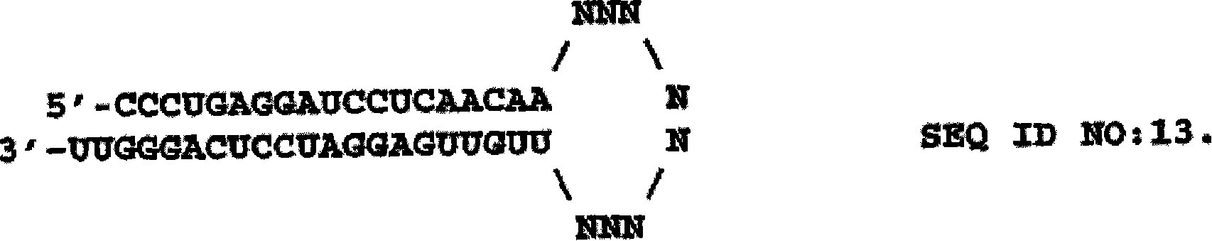 Rnai-mediated inhibition of ocular hypertension targets