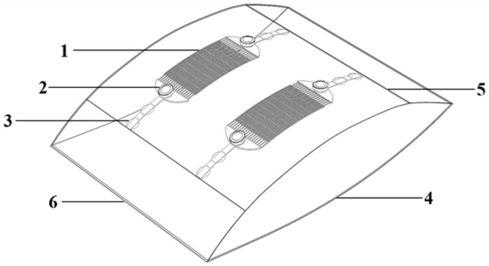 Plasma sterilization bag applicable to disinfection of medical apparatus and instruments and use method of plasma sterilization bag