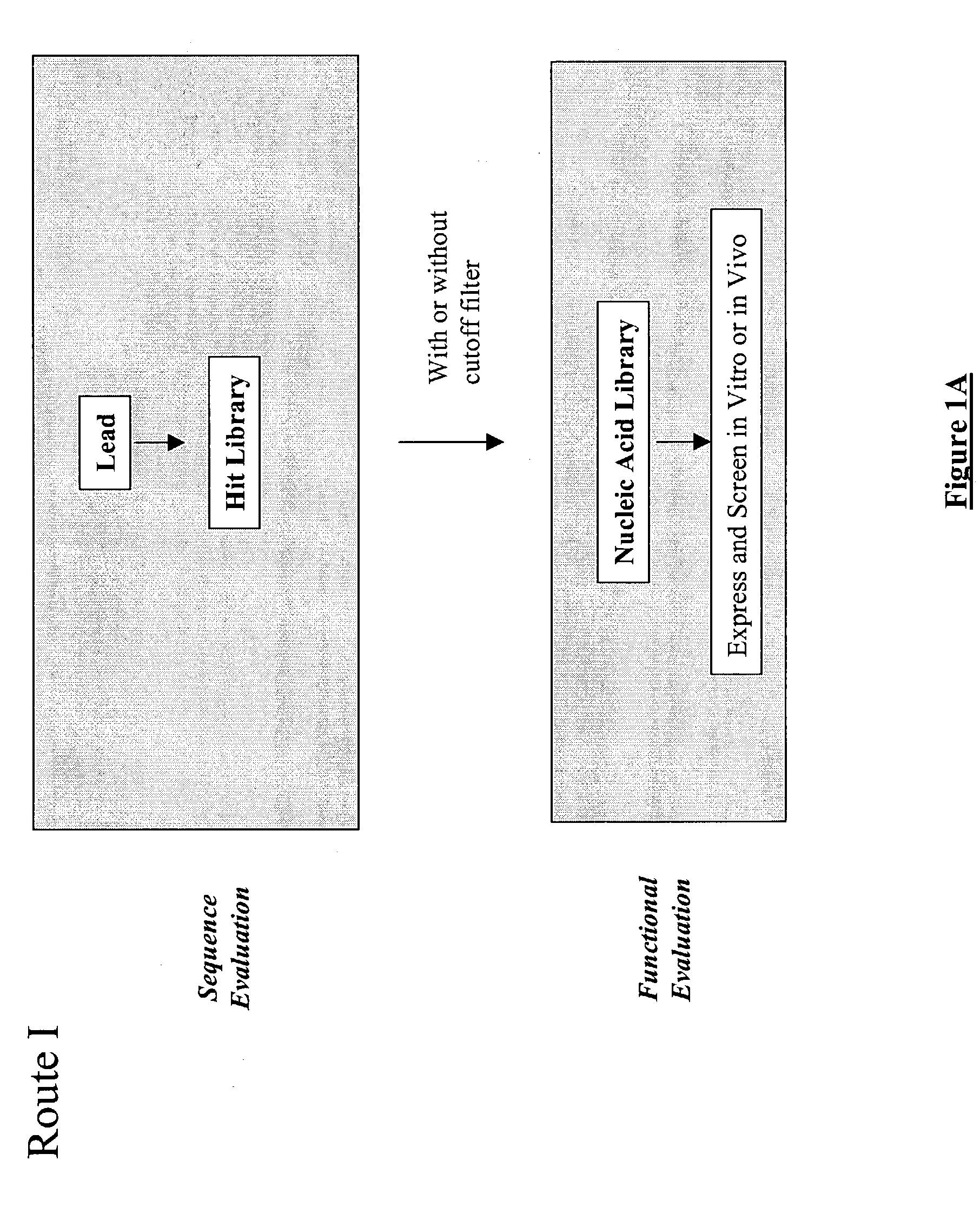 Generation and selection of protein library in silico