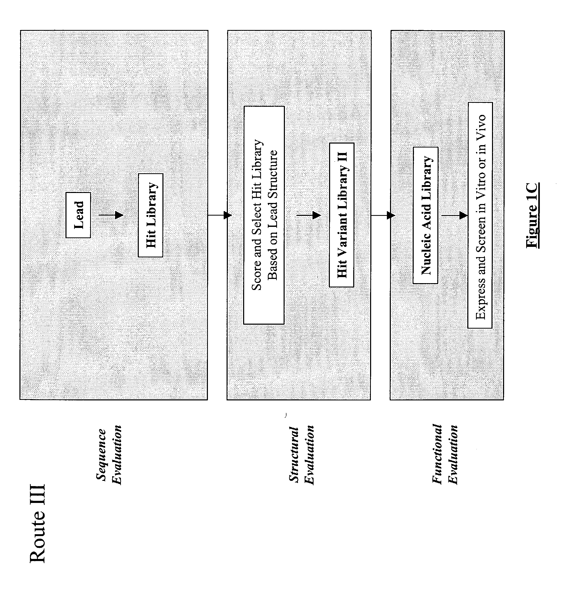 Generation and selection of protein library in silico