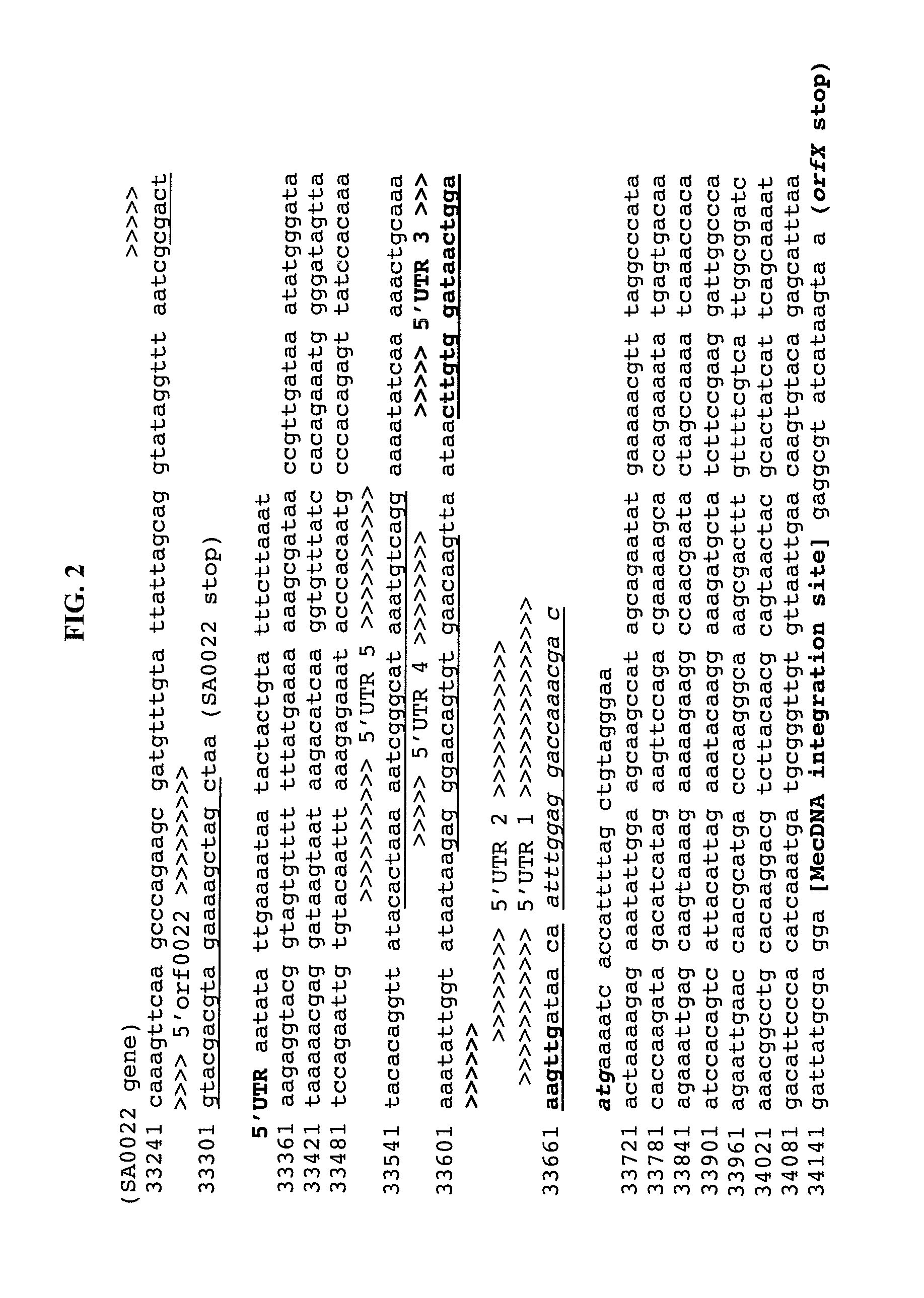 Method of determining types I, II, III, IV or V or methicillin-resistant Staphylococcus aureus (MRSA) in a biological sample