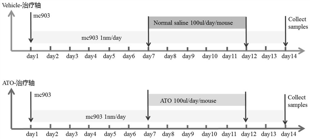 Application of arsenic trioxide and water-soluble substances thereof in preparation of medicine for treating atopic dermatitis